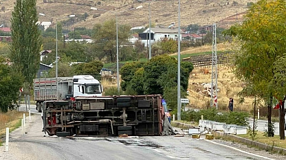 Malatya-Adıyaman yolunda arı yüklü kamyon devrildi: 2 yaralı
