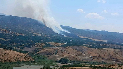 Malatya'da orman yangını! Ekipler müdahale ediyor