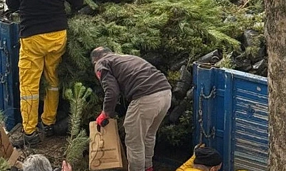 Fidan taşıma işi