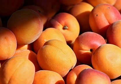 85 milyonun aklına kayısı deyince Malatya geliyor! Malatya kayısısı, yerel lezzetler arasında zirveye oynuyor!