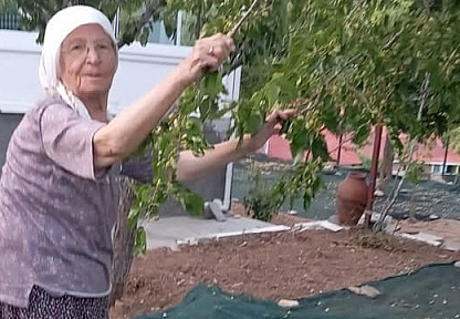 'Dutlar heba olmasın' dediler! Malatya'da 85 yaşındaki çift pekmez mesaisinde