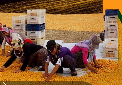 Malatya'da büyük yarışma! Birinciye 200 bin TL ödenecek…