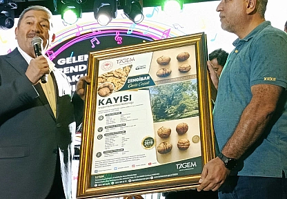 Malatya'nın yeni tarım yıldızı: Zengibar Cevizi dünya çeşitleriyle yarışıyor