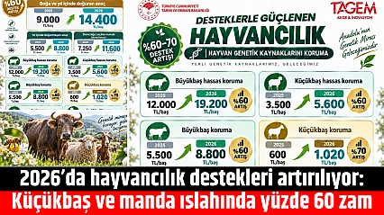 2026'da hayvancılık destekleri artırılıyor: Küçükbaş ve manda ıslahında yüzde 60 zam