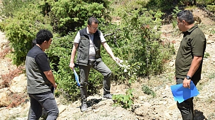3 yılda binlerce fidan toprakla buluştu