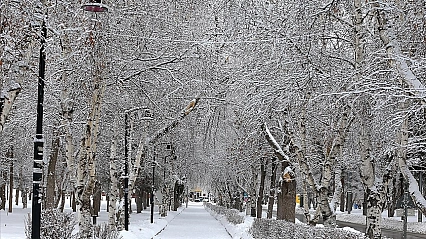 Doğuda kar yağışı etkisini sürdürüyor