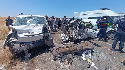 Hazar gölü etrafında 40 ton çöp toplandı