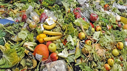 Her yıl 2,3 milyar ton gıda israf ediliyor!