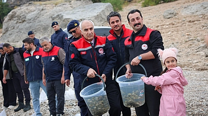 Malatya'da 1,3 milyon sazan suya bırakıldı