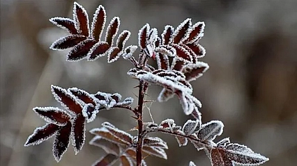 Malatya'da 3 Aralık'ta hava nasıl olacak? Yağış ve rüzgar uyarısı var mı?