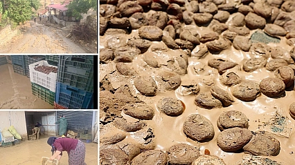 Malatya'da 400 ton kayısı zarar görmüştü: 4 aydır üreticiye destek verilmedi...
