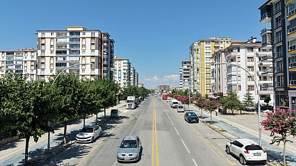 Malatya'da yeşil seferberlik: Kent genelinde binlerce ağaç toprakla buluştu