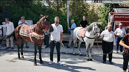 Malatya'nın şampiyon atı Kaçkar yeniden piste çıkıyor! Hedef Erzurum'da zafer