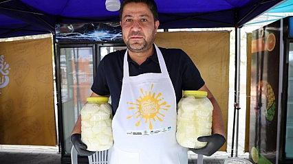 Peynir Festivali başladı