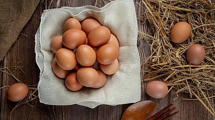 Sofralık yumurtada etiketler değişti: Yeni dönem başladı