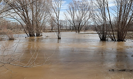10 bin dönüm ekili tarım arazisi su altında kaldı