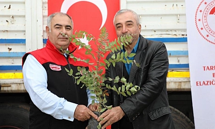 13 üreticiye 7 bin 311 sumak fidesi dağıtıldı