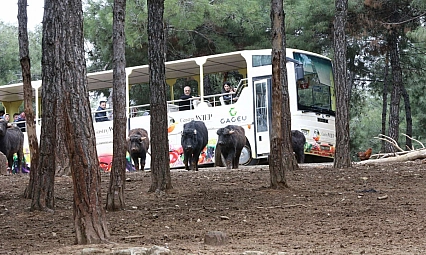 2025'te ziyaretçi rekoru kırdı