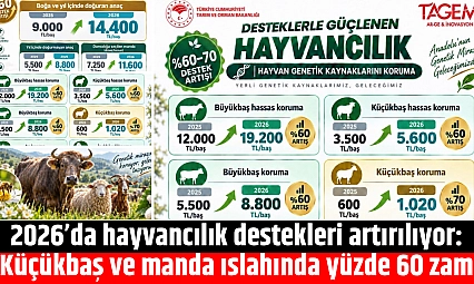2026'da hayvancılık destekleri artırılıyor: Küçükbaş ve manda ıslahında yüzde 60 zam