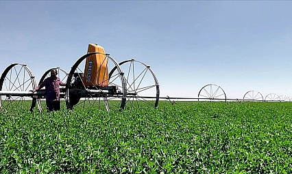 2026'da kırsal kalkınma hareketi! Aile işletmelerine yeni teşvikler yolda...