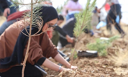 23 bin 650 fidan toprakla buluştu