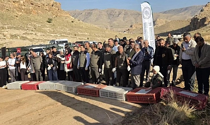 300 keklik doğaya salındı