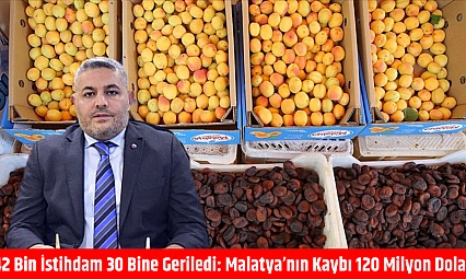 Malatya'nın Kaybı 120 Milyon Dolar