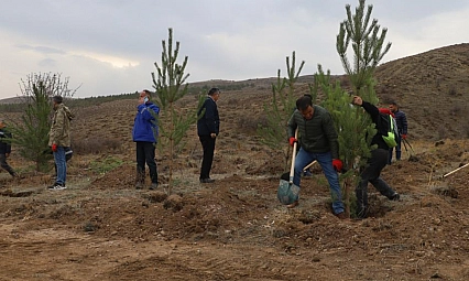 58 bin fidan toprakla buluşturuldu