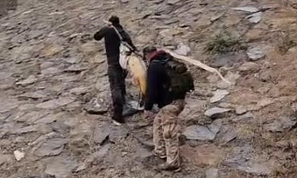 60 kilo turna omuzlarda taşındı