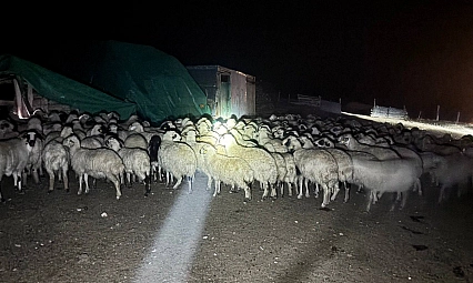 9 saat süren arama sonuç verdi