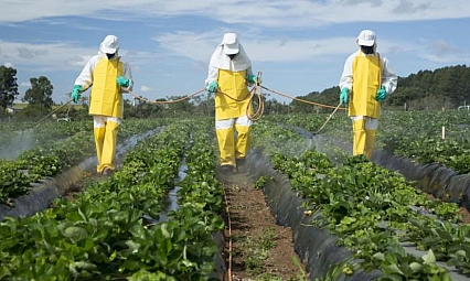 Malatya'ya endüstriyel tarım dayatması