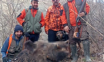 Avcılar sürü halinde domuz avladı