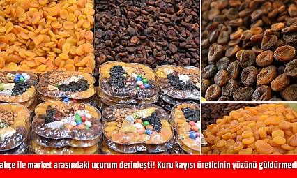 Bahçe ile market arasındaki uçurum derinleşti! Kuru kayısı üreticinin yüzünü güldürmedi!