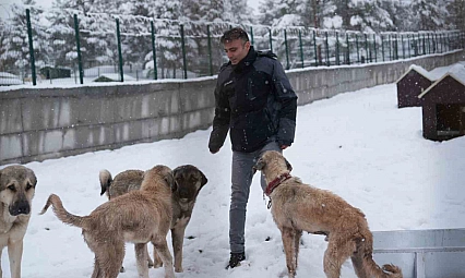 Malatya'nın ikinci hayvan barınağı hizmete açıldı