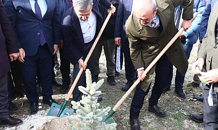 Bir yılda 2 bin 800 orman yangını...