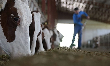 Çiftçilere 711 Milyon 848 Bin Lira Destek Hesaplarda