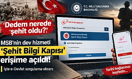 Dedem nerede şehit oldu? MSB'nin dev hizmeti 'Şehit Bilgi Kapısı' erişime açıldı! İşte e-Devlet sorgulama ekranı
