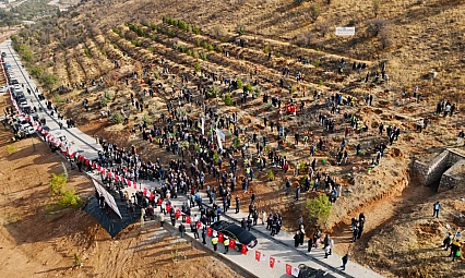 Deprem Şehitleri Hatıra Ormanı Yenileniyor