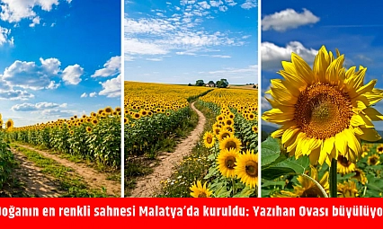 Doğanın en renkli sahnesi Malatya'da kuruldu: Yazıhan Ovası büyülüyor