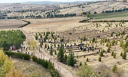 Doğu Türkistan ve Filistin için fidan diktiler