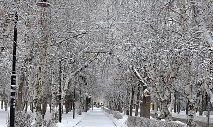 Doğuda kar yağışı etkisini sürdürüyor