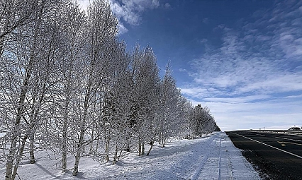Dondurucu soğuklar yaşamı olumsuz etkiliyor
