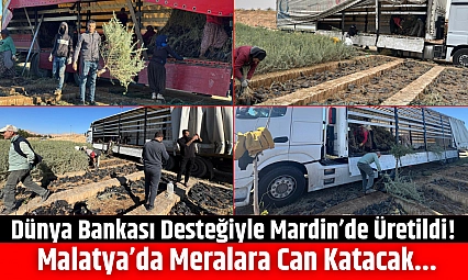 Dünya Bankası Desteğiyle Mardin'de Üretildi! Malatya'da Meralara Can Katacak...