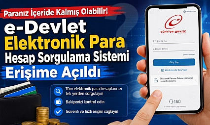 e-Devlet unutulan para sorgulama ekranı açıldı! Dijital cüzdanlarda paranızı unutmuş olabilirsiniz