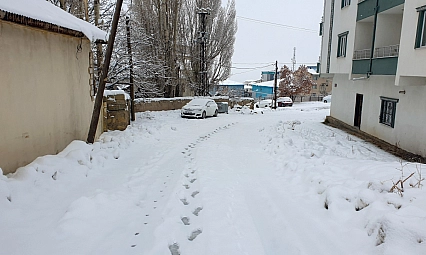 Gece Boyu Yağan Kar İlçeyi Beyaza Bürüdü