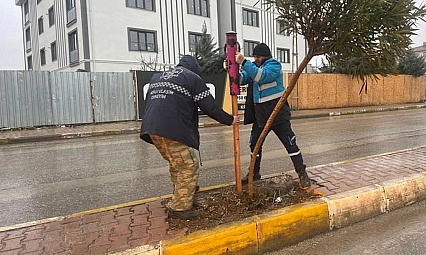 Genç fidanlar koruma altına alındı