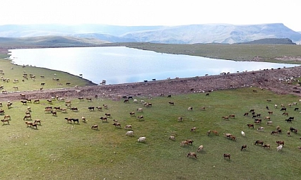 Gölet yapımında Türkiye'ye örnek oldu