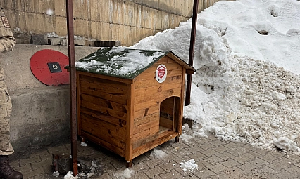 Gönüllülerde sokak hayvanları için barınak ve mama desteği