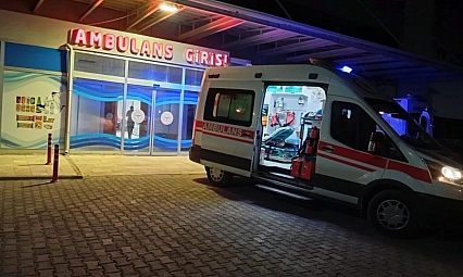 Hafif ticari araç yayaya çarptı: 1 ağır yaralı