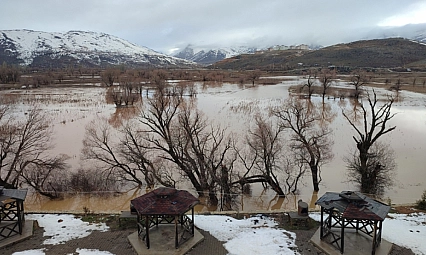 Havşeri Çayı'nın taşması sonucu tarım arazileri zarar gördü